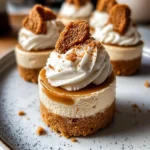 No Bake Mini Biscoff Cheesecakes